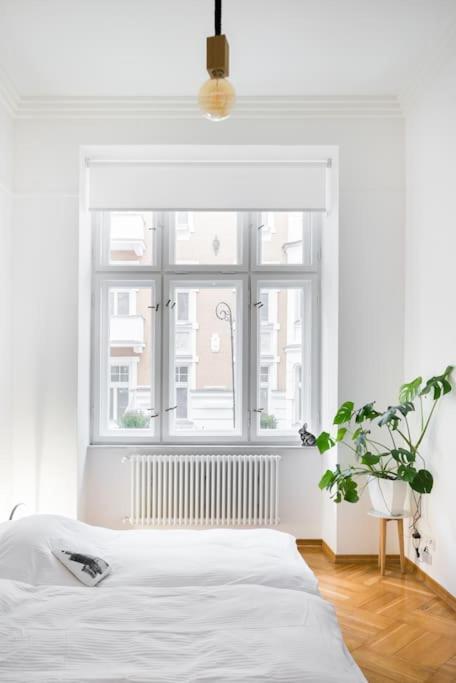 Apartment Center 110m2
